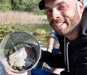 Researcher Michael White collecting threespine stickleback fish for research.